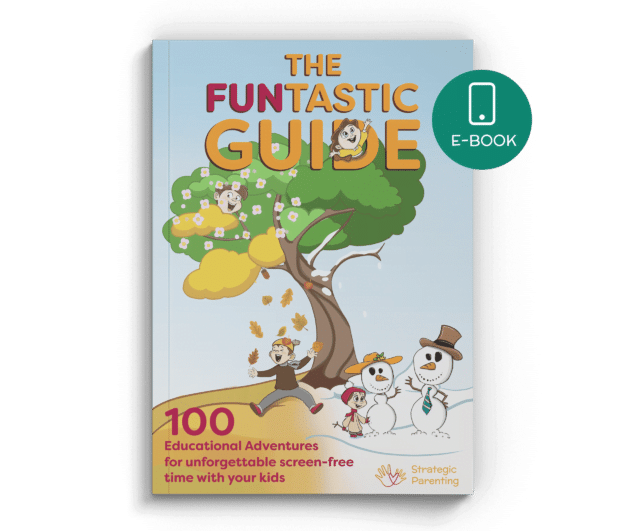 The Funtastic Guide - book cover