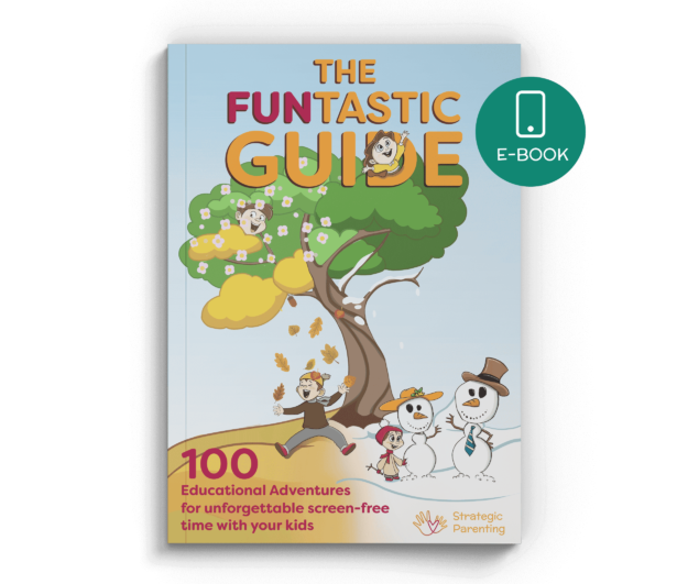 The Funtastic Guide - book cover